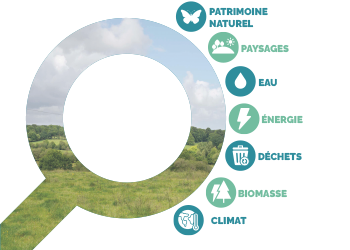 Thématiques d'observation OEB