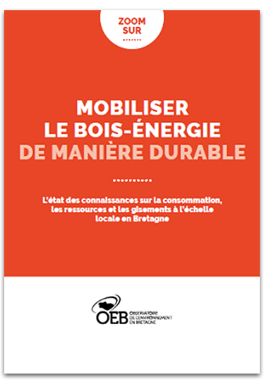 zoom sur bois énergie
