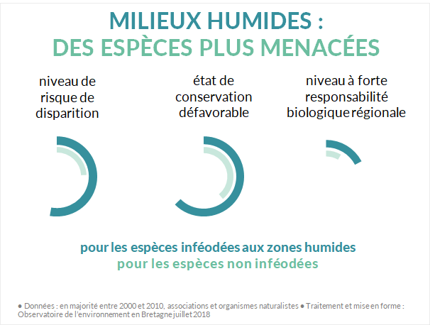 état santé espèces inféodées zones humides Breragne