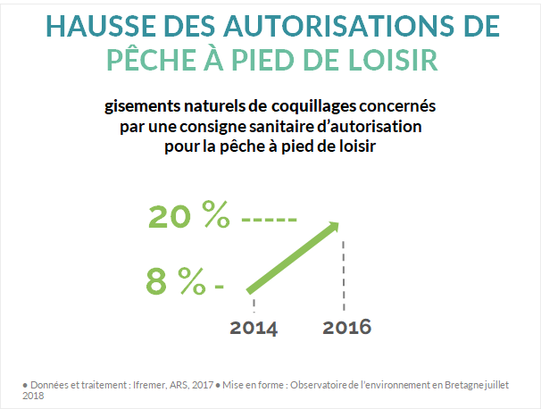 évolution autorisations consignes sanitaires pêche à pied bretagne