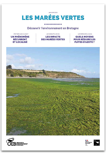 Dossier Marées vertes en Bretagne