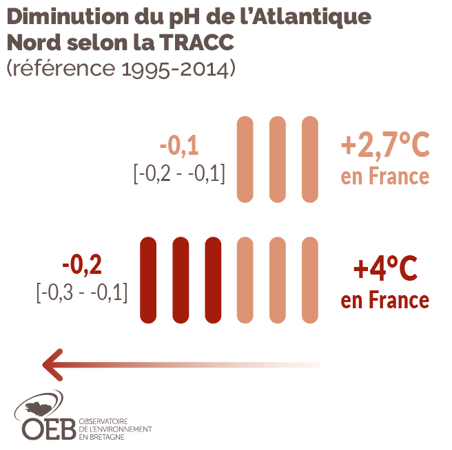 Diminution du pH dans l'Atlantique