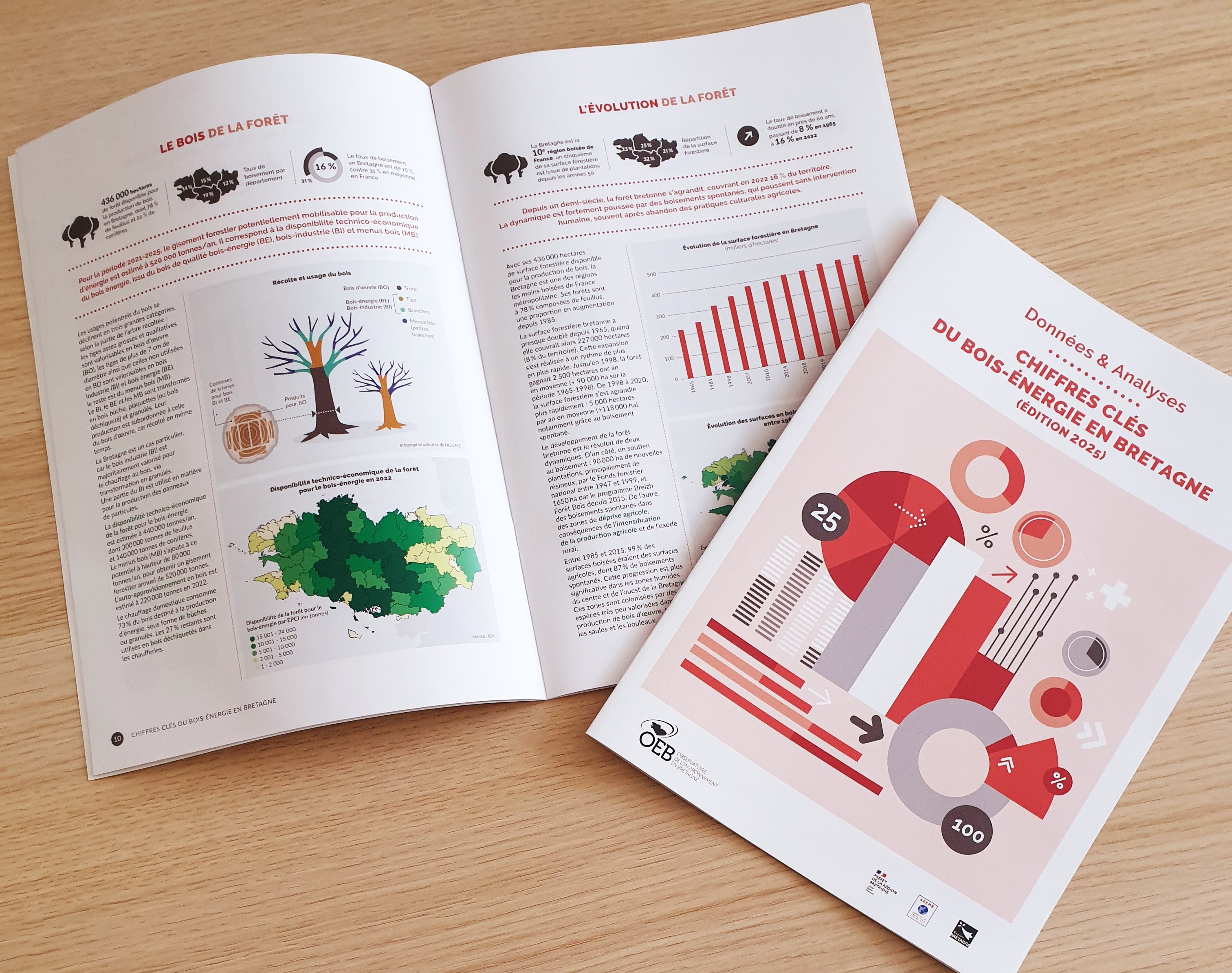 photo brochure bois énergie