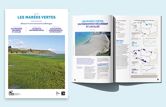 Brochure Les marées vertes en Bretagne édition 2025