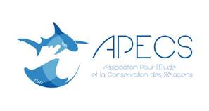 logo apecs