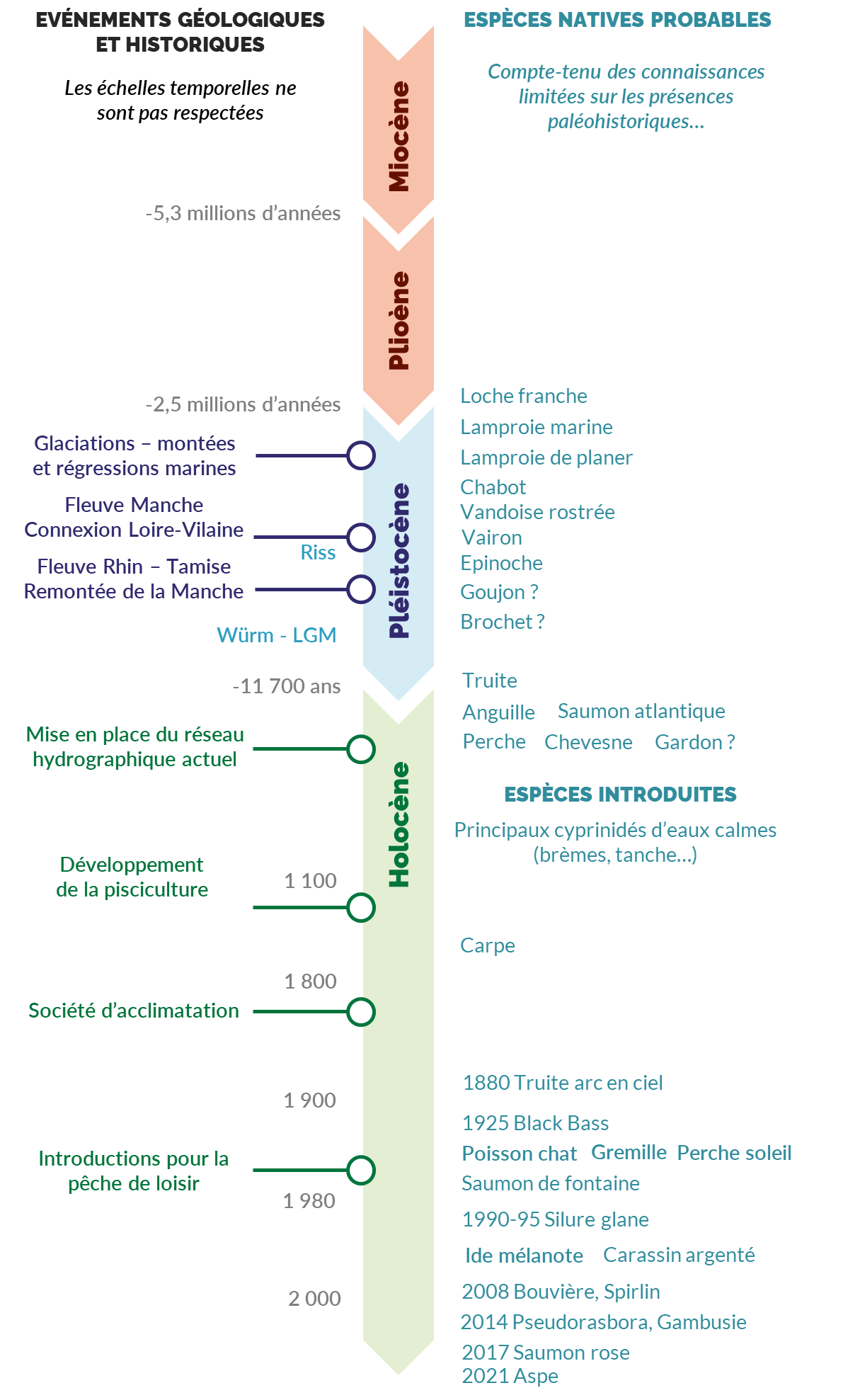 Évolution de la présence d'espèces de poissons d'eau douce en Bretagne