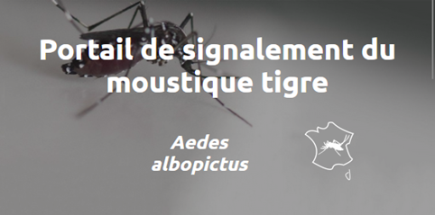 portail de signalement du moustique tigre