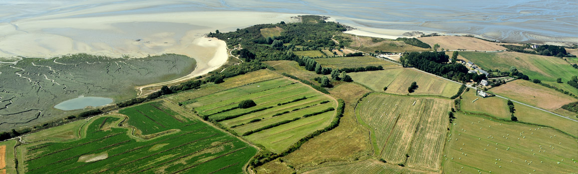 photo de la baie de Lancieux