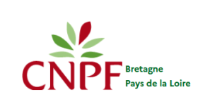 logo CNPF