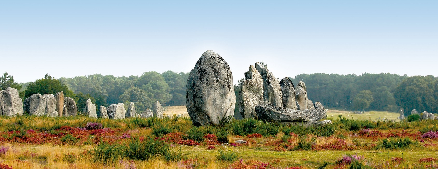 Menhirs au milieu de la lande en bordure d'une forêt en Bretagne