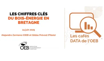 Capture café data bois énergie