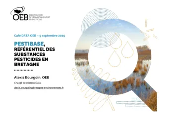 Replay café data pestibase