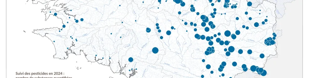 Qualité des cours d'eau bretons vis-à-vis des pesticides en 2024 - Nombre de substances quantifiées