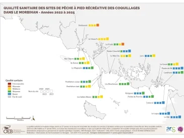 Qualité sanitaire des sites de pêche à pied récréative des coquillages dans le Morbihan - Années 2022 à 2025