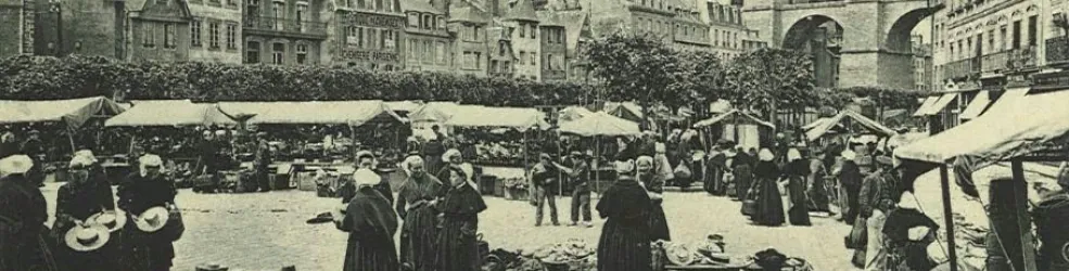 Photo paysage en contre-plongée