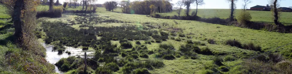 Photo marre naturelle