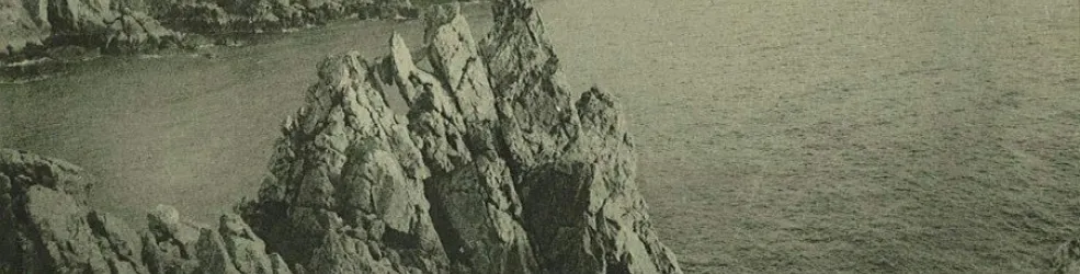 Photo falaise Camaret-sur-Mer