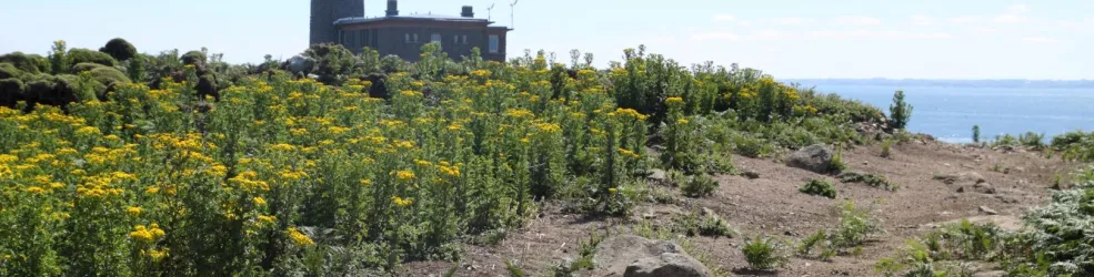 Photo Les Sept-Îles