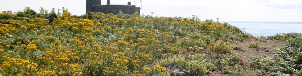 Photo Les Sept-Îles