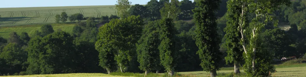 Photo Haie bocagère