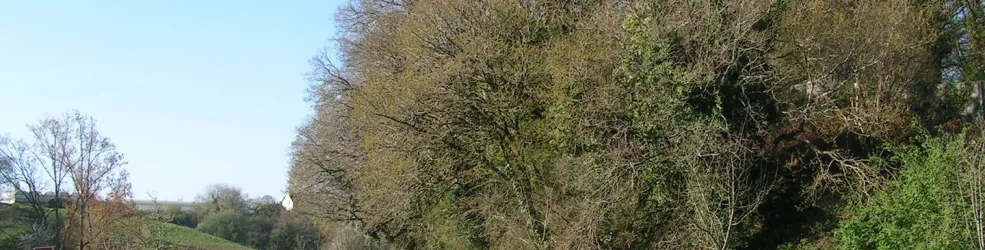 Photo Les paysages de publicité