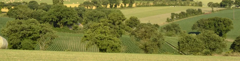 Photo La motte du tertre Langouët
