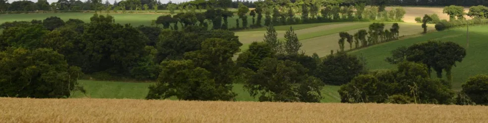 Photo La motte du tertre, Langouët