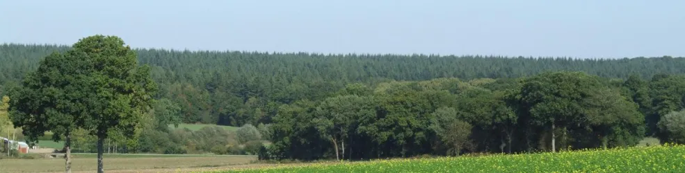 Photo Paysage boisé et de bosquets 