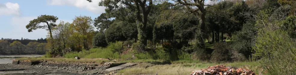 Photo Les terre-pleins ostréicoles à Pluneret