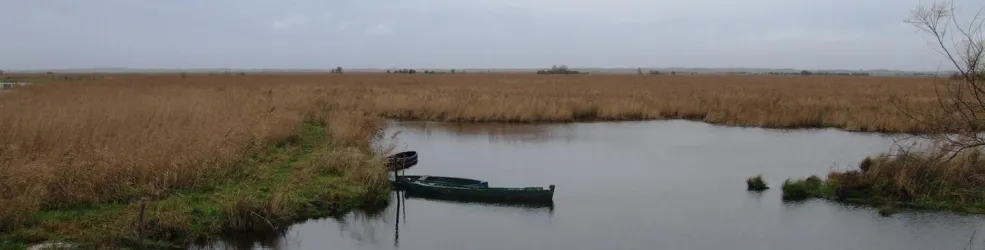 Photo Paysage de zones humides d’eau douce