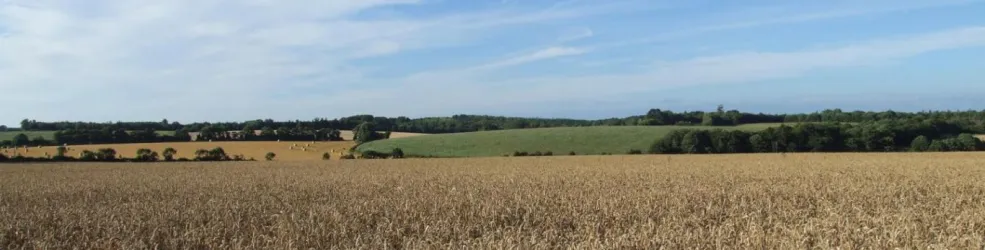 Photo Paysage de bocage à maille élargie 