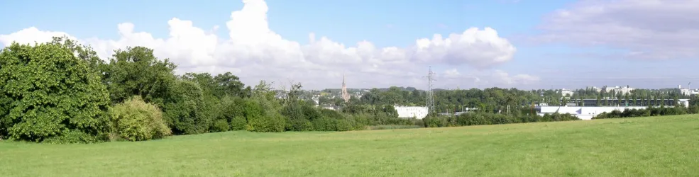 Photo  Bois de La Justice à Cesson-Sévigné