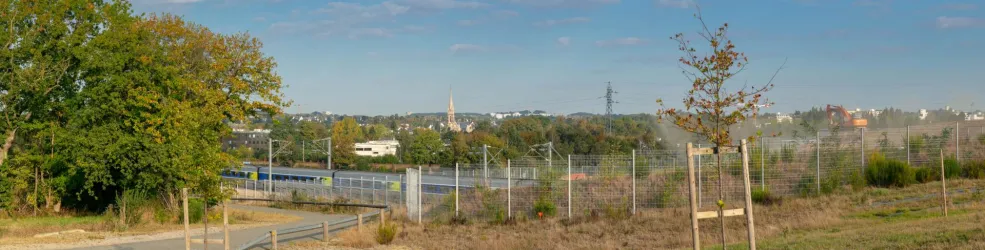 Photo  Bois de La Justice à Cesson-Sévigné
