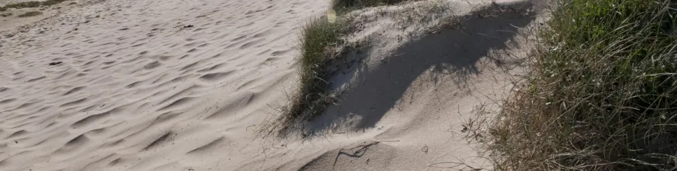 Photo massif dunaire 