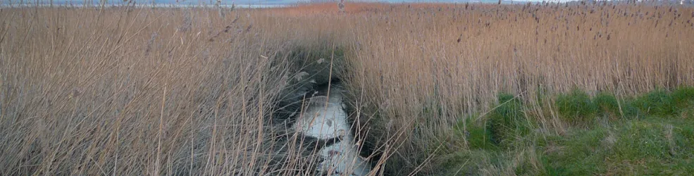 Photo ruisseau du Lienne