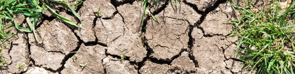 sol fissuré par la sécheresse