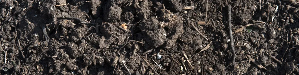 Photo compost