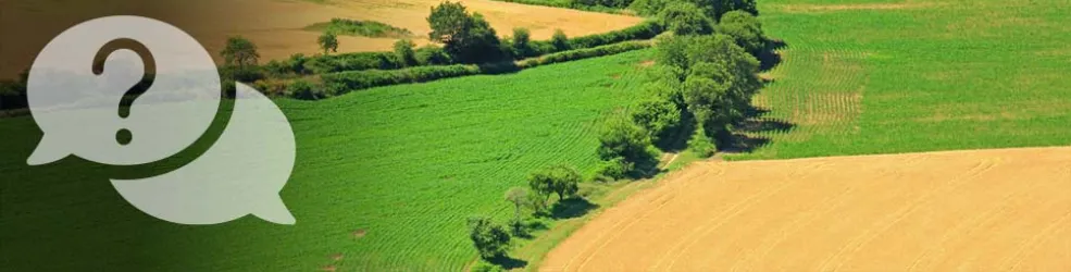 Photo Paysage bocager près de Rosnoën