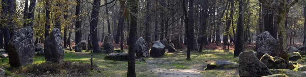 Photo La chaise de César