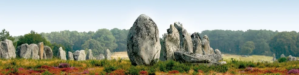 Menhirs au milieu de la lande en bordure d'une forêt en Bretagne