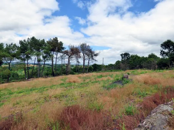 Photo Paysages de landes en Bretagne