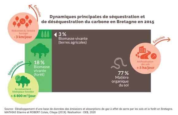 Schéma Dynamiques principales de séquestration et de déséquestration du carbone en Bretagne en 2015
