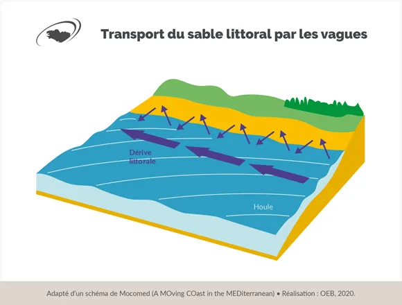 Schéma représentant le transport du sable littoral par les vagues