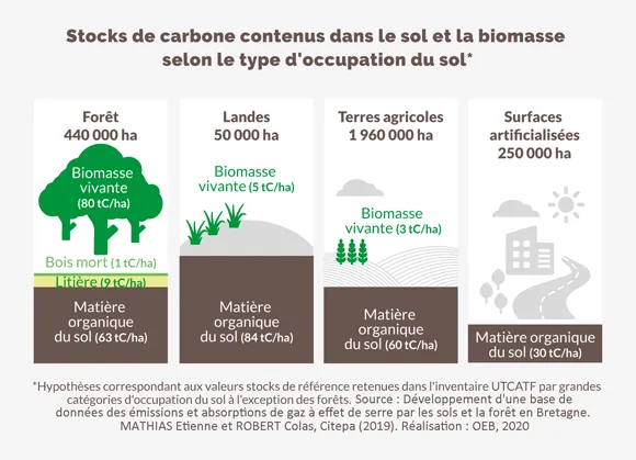 Schéma stocks de carbone contenus dans le sol et la biomasse selon le type d'occupation du sol