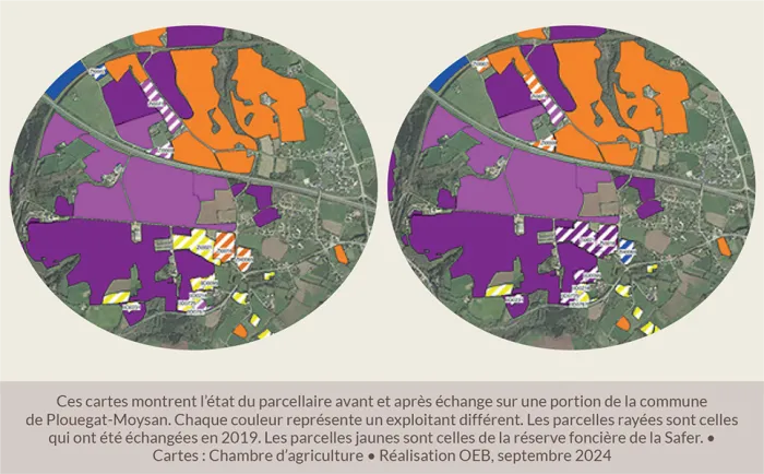 Ces cartes montrent l’état du parcellaire avant et après échange sur une portion de la commune de Plouegat-Moysan. Chaque couleur représente un exploitant différent. Les parcelles rayées sont celles qui ont été échangées en 2019. Les parcelles jaunes sont celles de la réserve foncière de la Safer. • Cartes : Chambre d’agriculture • Réalisation OEB, septembre 2024