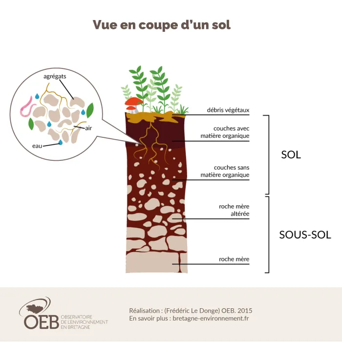 Schema pedagogique Coupe de Sol