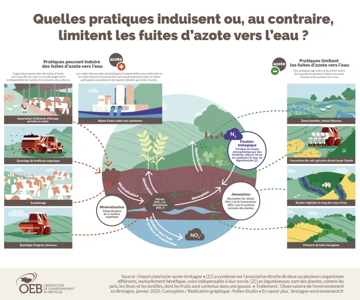 Schema : les pratiques qui induisent ou limites les fuites d'azote vers l'eau