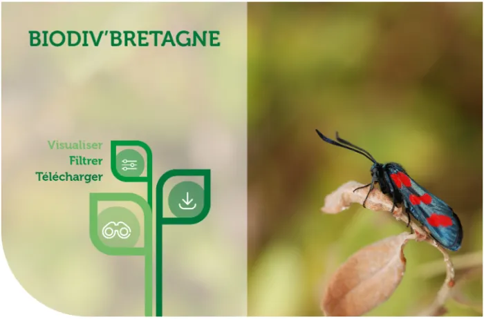 Biodiv'Bretagne