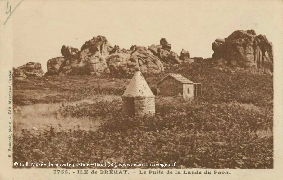 Photo lande Île-de-Bréhat