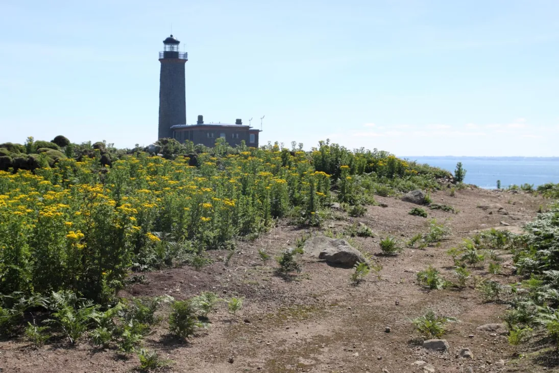 Photo Les Sept-Îles
